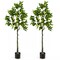 2PCS Artificial Lemon Tree 5.2 FT Tall Fake Plant Office Decor w/Lemon Fruits
